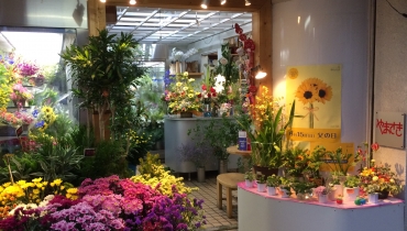「花の店やまさき」　（鹿児島県薩摩川内市）の花屋店舗写真1